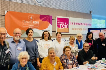 Marche du rein : le bilan