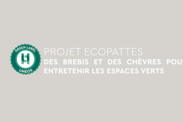 Green Label – Entretenir les espaces verts avec l’éco-pâturage