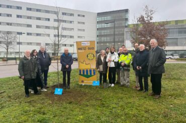 Le Rotary Club Metz Sud Plante 50 Arbres pour Célébrer ses 50 Ans 🌳🍃