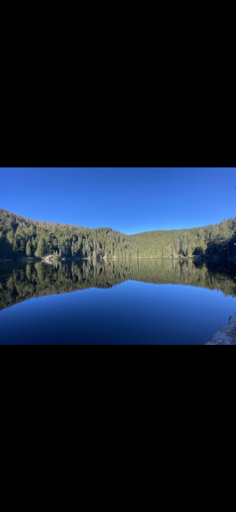 Course à pieds au Lac Vert
Les Vosges : la bulle d’oxygène de mes week-ends