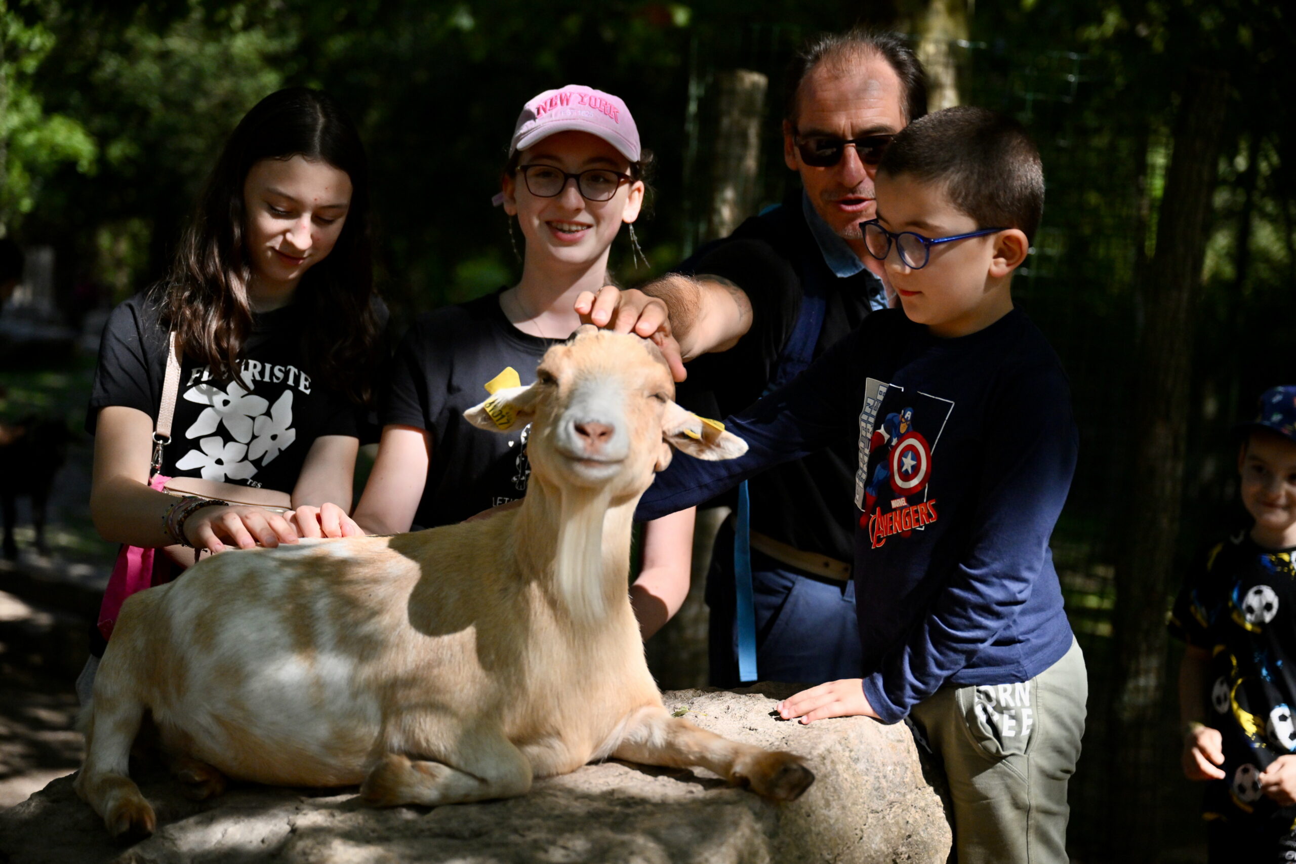 visite-parc-33