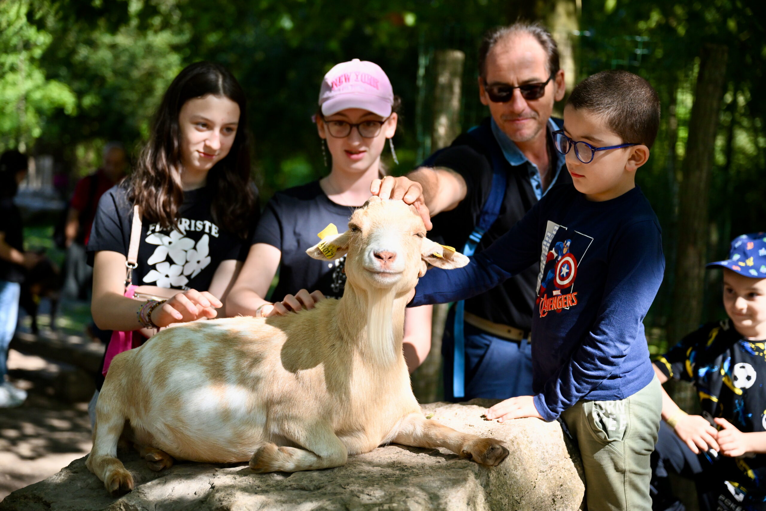 visite-parc-35