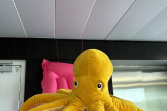 Notre poulpe fête ses 1 an et rend visite aux équipes ! 🐙