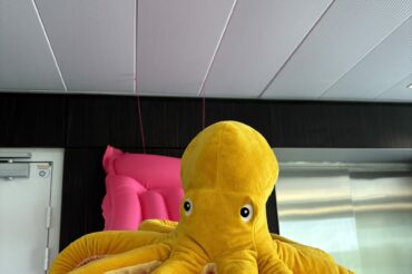Notre poulpe fête ses 1 an et rend visite aux équipes ! 🐙