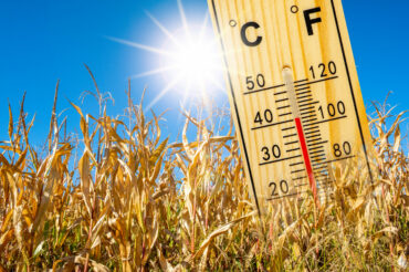 Plan Blanc Canicule : Uneos pleinement mobilisé